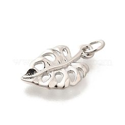 Messing Anhänger & Charms&nbsp;KK-L225-030P