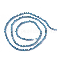 Natürliche Apatit Perlen Stränge&nbsp;X-G-F596-29-2mm