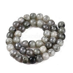 Perline labradorite naturale fili&nbsp;G-T138-143