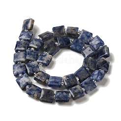 Natürliche blaue Fleck Jaspis Perlen Stränge&nbsp;G-L596-A07-01
