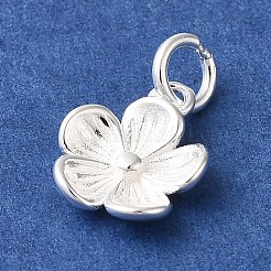 Breloques en 925 argent sterling&nbsp;STER-M120-01D-S