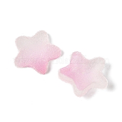 Cabujones de resina de imitación de comida dulce&nbsp;X1-RESI-R461-02K