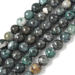 Fili di perline di dioptase naturali&nbsp;G-D302-02-8mm