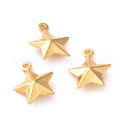 Anhänger aus Edelstahl 304&nbsp;STAS-D243-08G