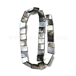Naturali labbro nero perline shell fili&nbsp;BSHE-D300-07-12mm