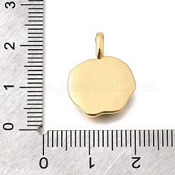 Natur Paua Muschel Anhänger&nbsp;KK-D255-11G