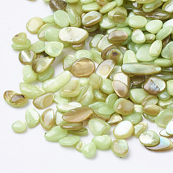 Shell Beads, No Hole Beads, Dyed, Chip, Green Yellow, 1~15x1~15x0.5~5mm