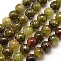 Natural Green Garnet Beads Strands, Andradite Beads, Round, 10mm, Hole: 1mm, about 39pcs/strand, 15.3 inch(39cm)