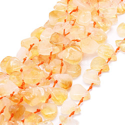 Chapelets de perles de citrine naturelle, larme, 12~20x5~15x3~7mm, Trou: 0.8mm, Environ 24 pcs/chapelet, 15.04'' (38.2 cm)
