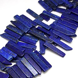 Pierre naturelle lapis lazuli perles brins, parallélépipède irrégulier, lapis-lazuli, 15~70x9~12x5~7mm, Trou: 2mm, Environ 39 pcs/chapelet, 15.74 pouce