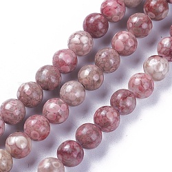 Chapelets de perles maifanite/maifan naturel pierre , teinte, ronde, 6mm, trou: 1 mm, environ 62~64 pièces / brin, 15.2 pouces ~ 15.4 pouces (38.5~39 cm)