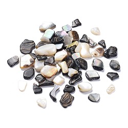Shell perle naturali labbro nero, schegge di shell, Senza Buco / undrilled, pezzo, colore misto, 7.5~18.5x8.5~16mm