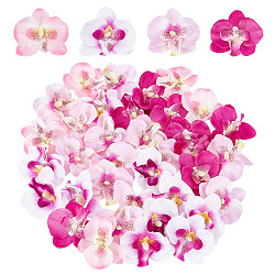 CRASPIRE 100PCS Artificial Silk Phalaenopsis Flower Heads, Butterfly Orchid Head Floral Bouquet for Crafts Wedding Decoration DIY Making Bridal Hair Clip Headbands Dress Photography Props