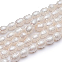 Fili di perle di perle d'acqua dolce coltivate naturali, colore naturale, bianco, 10~11mm, Foro: 0.8 mm, circa 28~29pcs/filo, 13.58 pollice (34.5 cm)