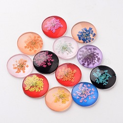 Handmade Glass Flat Back Cabochons, Half Round/Dome, with Dried Flower, Mixed Color, 25x7mm