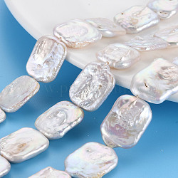 Naturales keshi abalorios de perlas hebras, perla cultivada de agua dulce, Rectángulo, color de concha, 16~22x13~17x3~7mm, agujero: 0.6 mm, aproximamente 18~20 pcs / cadena, 14.96 pulgada (38 cm)