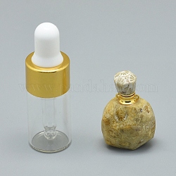 Натуральные ископаемые кораллы открывающиеся подвески для флаконов духов, с латунными находками и стеклянными бутылками с эфирным маслом, 30~36x18~20x9.5~16 мм, отверстие : 0.8 мм, Емкость стеклянной бутылки: 3 мл (0.101 жидких унции), Емкость драгоценного камня: 1 мл (0.03 жидких унции)
