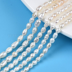 Brins de perles de culture d'eau douce naturelles, riz, couleur de coquillage, 4~7.5x3~4mm, Trou: 0.6mm, Environ 63~64 pcs/chapelet, 13.58 pouce (34.5 cm)
