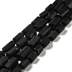 Натуральный черный турмалин бисер нитей, граненые, колонка, 10~16x9x9.5~11 мм, отверстие : 1 мм, около 24~28 шт / нитка, 16.54 дюйм (42 см)