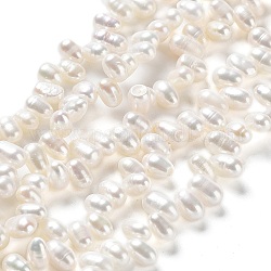 Hebras de perlas de agua dulce cultivadas naturales, arroz, blanco antiguo, 6~8x4~5mm, agujero: 0.6 mm, aproximamente 82 pcs / cadena, 13.66'' (34.7 cm)