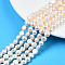 Natural Cultured Freshwater Pearl Beads Strands, Two Sides Polished, Creamy White, 7~8x7~8x4~6mm, Hole: 0.7mm, about 53~54pcs/strand, 13.98 inch~14.37 inch(35.5~36.5cm)