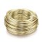 Anodized Aluminum Wire, Bendable Metal Craft Wire, Flexible Craft Wire, for Beading Jewelry Craft Making, Light Gold, 22 Gauge, 0.6mm, 280m/250g(918.6 Feet/250g)