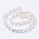 Chapelets de perles de coquille X-BSHE-L035-6mm-I13-2