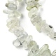 Natural Prehnite Beads Strands G-G0003-B12-4