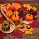 秋のテーマのプラスチック ホーム ディスプレイの装飾  カボチャと松ぼっくりと葉  ミックスカラー  65~75x80~83x0.1mm  50個/袋 AJEW-WH0155-74-5