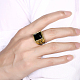 トレンドの男性用316Lチタンスチール製ガラスワイドバンドリング  ブラック  アンティーク黄金  usサイズ9（18.9mm） RJEW-BB15771-9B-6