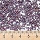 Miyuki runde Rocailles Perlen&nbsp;X-SEED-G007-RR1013-4