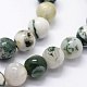 Chapelets de perles en agate d'arbre naturelle G-I199-03-20mm-3