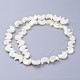 Shell normal de perles blanches de brins X-SSHEL-12X11-2