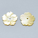 Perles de coquillage jaune SSHEL-S260-072-2