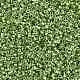 シリンダーシードビーズ  メタリックカラー  均一サイズ  淡緑色  2x1.5mm  穴：0.8mm  約40000個/袋  450 G /袋 SEED-H001-D10-4