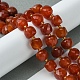 Natural Carnelian Beads Strands G-Q010-A17-01-2