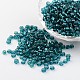 6/0 Round Silver Lined Round Hole Glass Seed Beads X-SEED-A005-4mm-51A-1