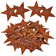 Grandi pendenti in ferro ruggine, stella, sienna, 95x97x9mm, Foro: 1.6 mm