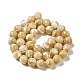 Brins de perles de coquillages naturels de troca SHEL-K006-18D-2