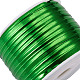 パンダホールプラスチックワイヤーツイストタイ  鉄心とステンレス鋼＆ABSプラスチックはさみ付き  グリーン  4x0.2mm  約100ヤード/ロール  1roll AJEW-TA0017-18A-4