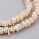 Hebras de perlas shell naturales X-BSHE-P021-03-3