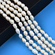 Fili di perle di perle d'acqua dolce coltivate naturali X-PEAR-N012-05E-6