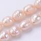 Natural Cultured Freshwater Pearl Oval Beads Strands PEAR-E002-10-1