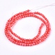 Natural Coral Beads Strands X-G-K020-3mm-10C-2