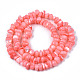 Natural Sea Shell Beads Strands SSHEL-S278-131F-2