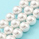 Brins de perles de coquillages naturels galvanisés SHEL-F008-03B-01-2