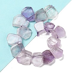 Natürlichen Amethyst Perlen Stränge&nbsp;G-P528-K03-01