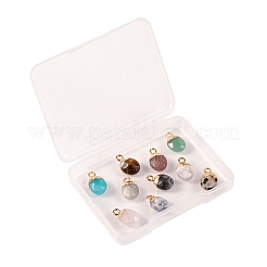 10pcs 10 natürliche Edelsteinanhänger im Stil&nbsp;G-LS0002-15