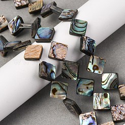 Natur Paua Muschel Perlen Stränge&nbsp;BSHE-ZX006-08B