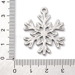 Anhänger aus Edelstahl 304&nbsp;STAS-G354-04P